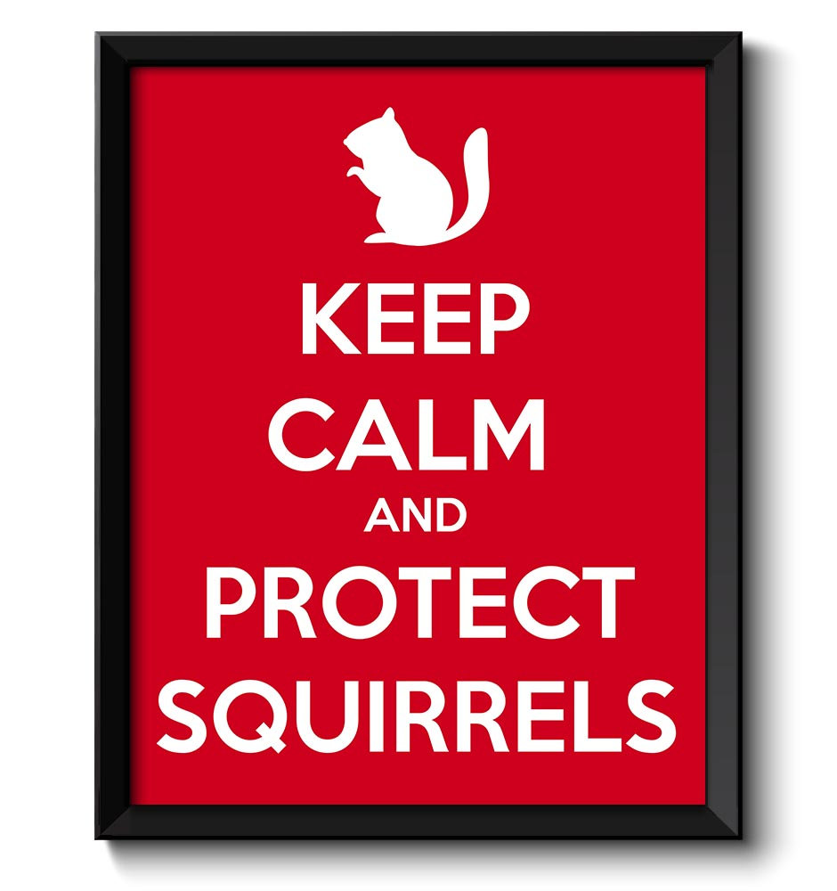 Keep Calm Poster Keep Calm and Protect Squirrels Red White Art Print Wall Decor Custom Stay Calm pos