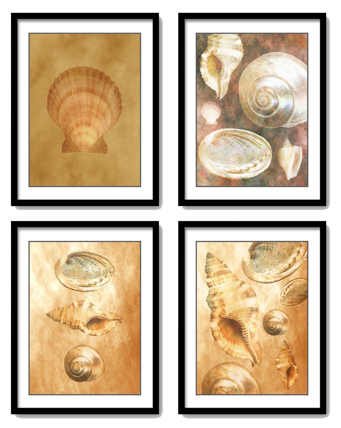 Sea Shells Ocean Beige Sand Art Set of 4 Prints Old Antique Vintage Botanical Printable Bathroom Bed