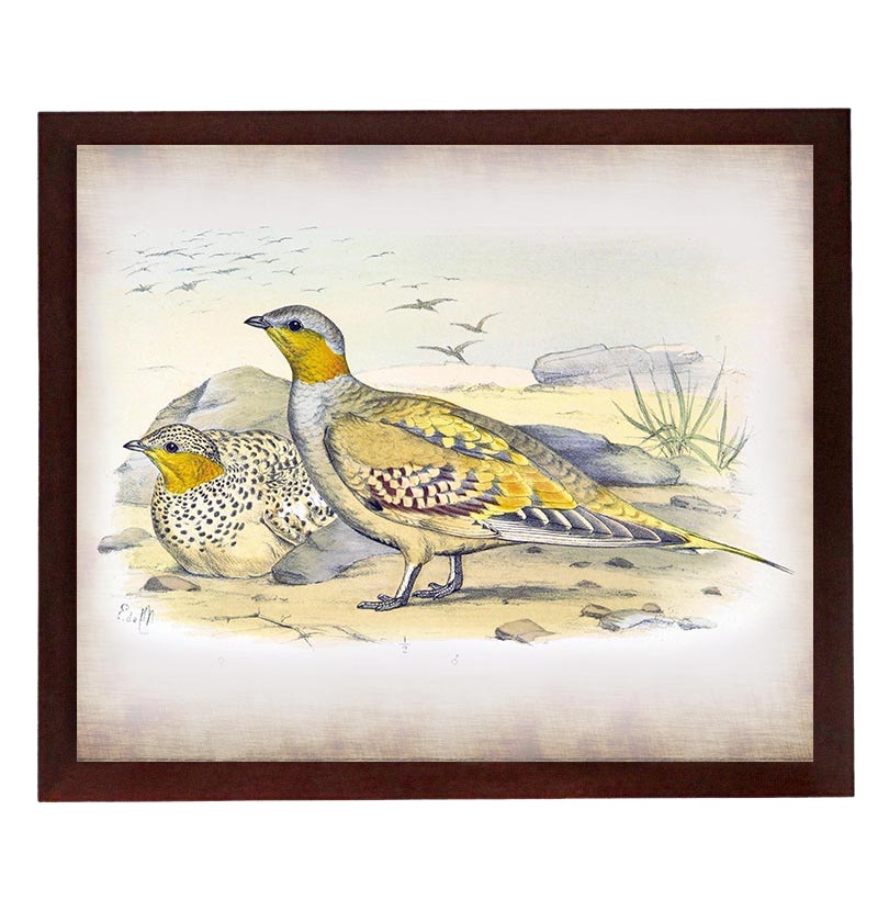 Grey Yellow Bird Vintage Style Print Poster Wall Art Parchment Paper Old Book Illustration Antique P