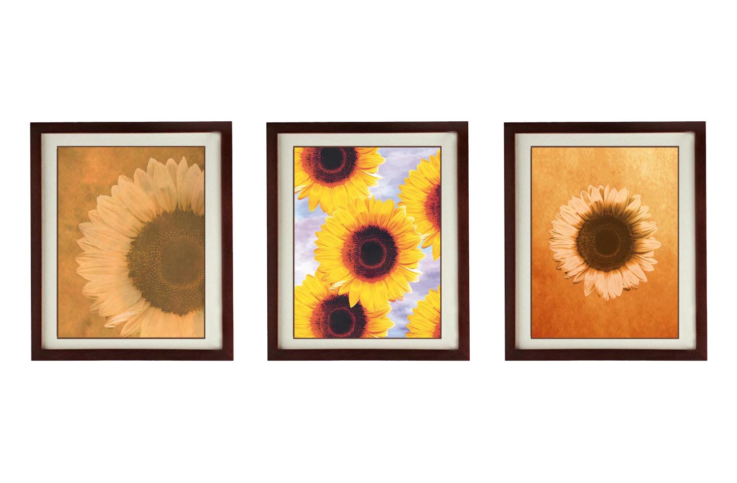 Sunflowers Flower Set of 3 Prints Art Print Old Antique Vintage Printable Bathroom Bedroom Beige Yel