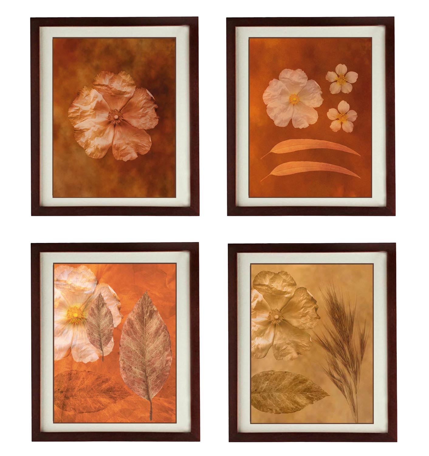 Flower Set of 4 Prints Art Print Old Antique Vintage Botanical Printable Bathroom Bedroom Beige Brow