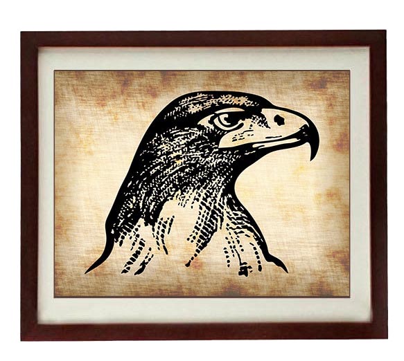 Eagle Head Bird Vintage Style Print - Art Print Parchment Paper Old Antique Printable - Vintage Anim