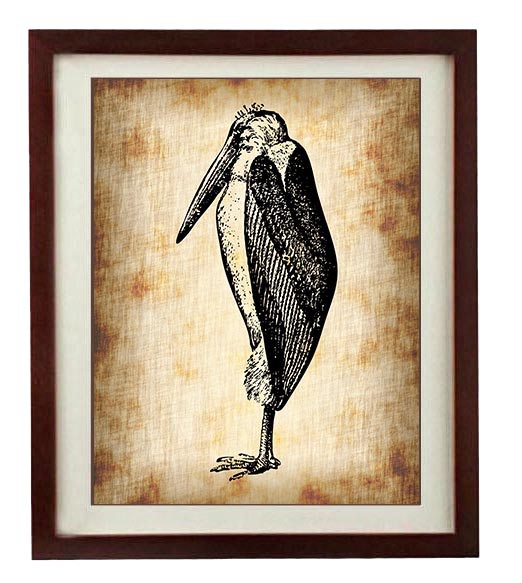 Pelican Bird Vintage Style Print - Art Print Parchment Paper Old Antique Printable - Vintage Animal 