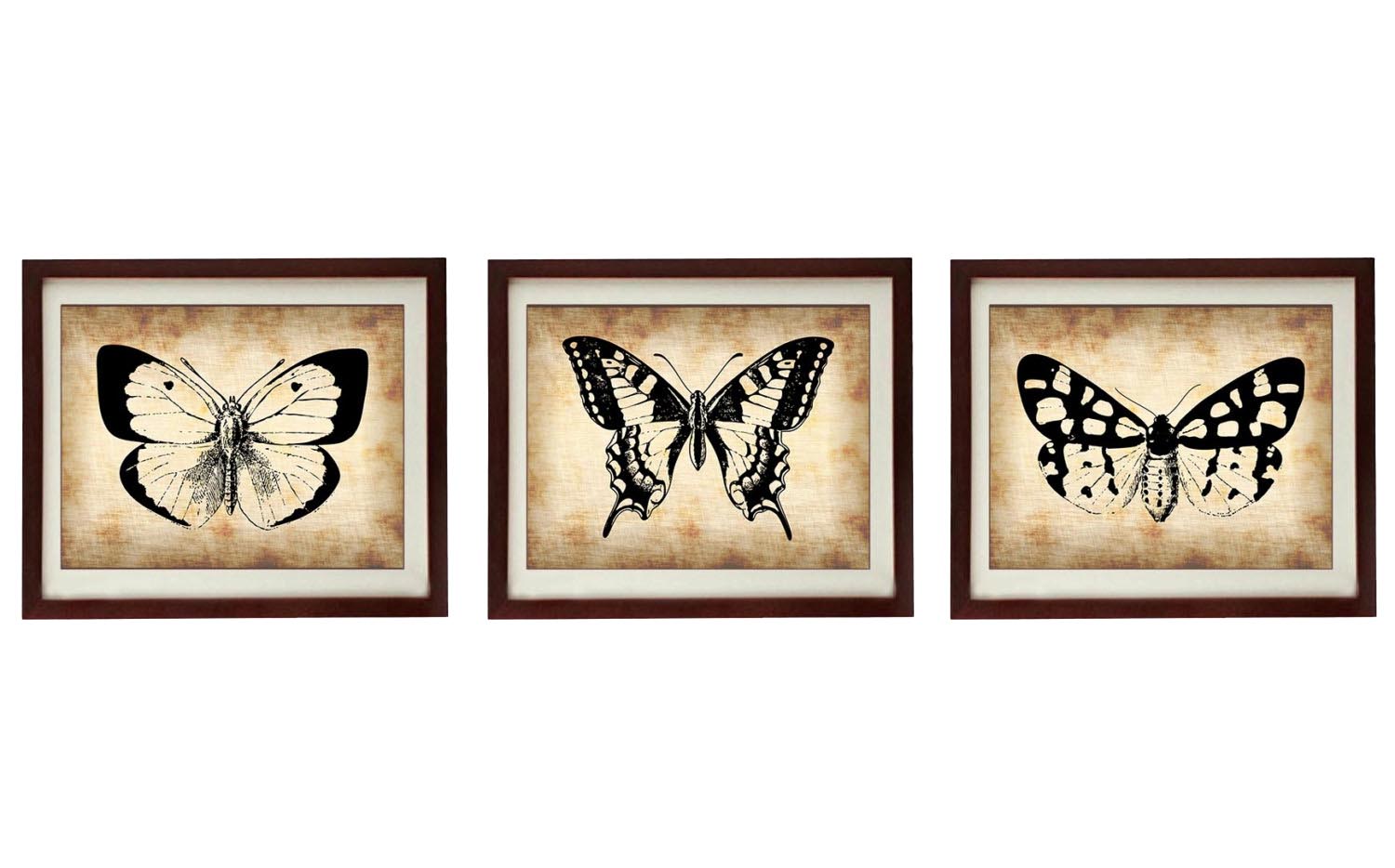 Butterflies Vintage Style Set of 3 Prints Butterfly Art Parchment Paper Old Antique Printable Animal