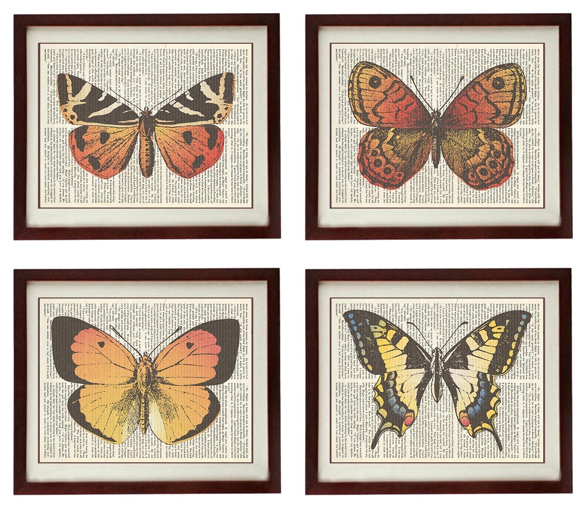 Vintage Butterflies Set of 4 Prints Butterflies Art Print Book Page Dictionary Style Old Antique Dra