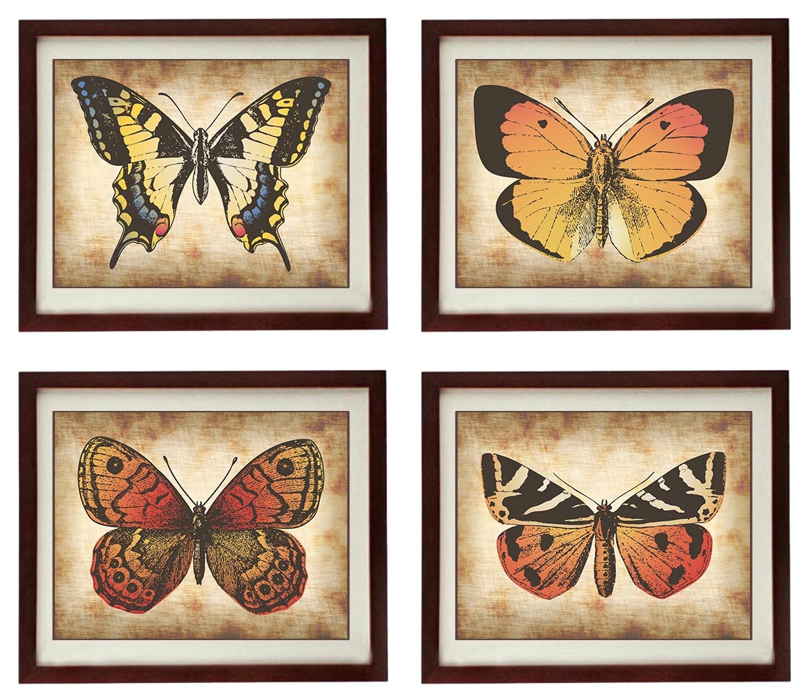 Vintage Butterflies Set of 4 Prints Butterflies Art Parchment Paper Style Old Antique Drawing Painti