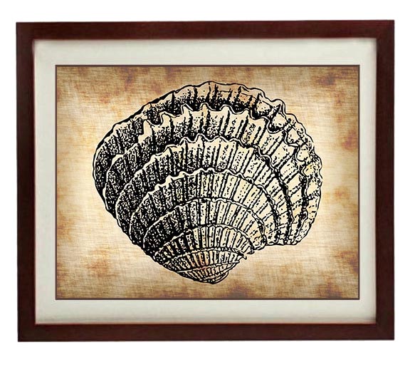 Fan Seashell Shell Lobster Vintage Style Ocean Nautical Print Art Parchment Old Antique Printable Be