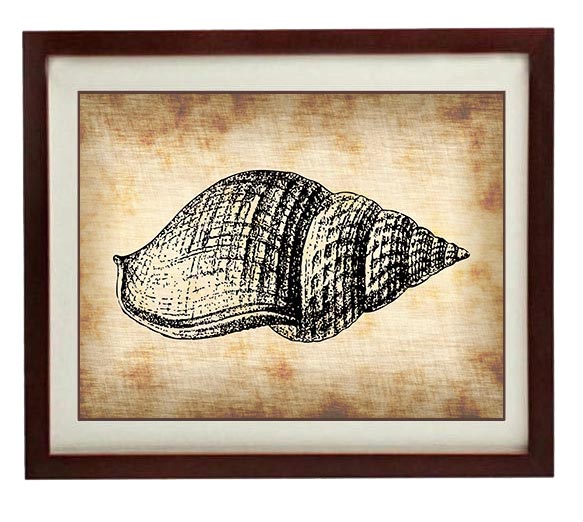 Tulip Seashell Shell Lobster Vintage Style Ocean Nautical Print Art Parchment Antique Printable Beac