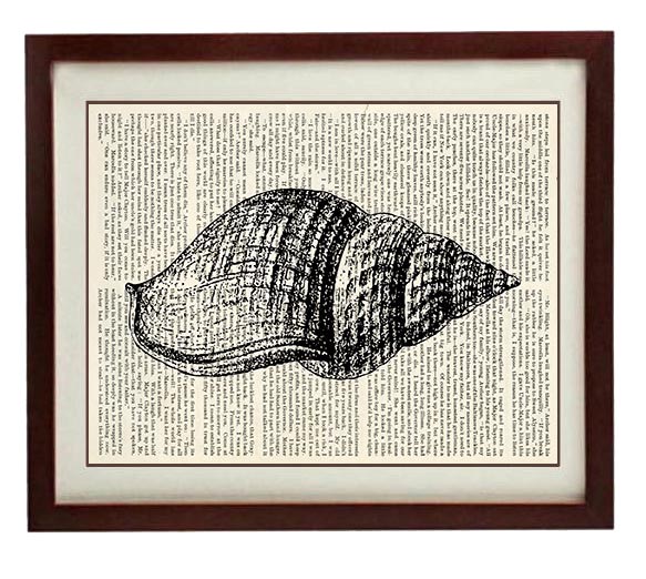 Tulip Seashell Shell Vintage Style Ocean Nautical Print Art Book Page Dictionary Printable Marine Be