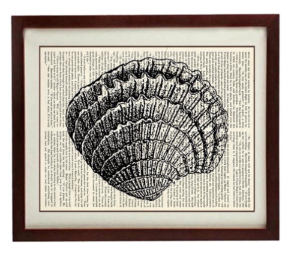 Fan Seashell Shell Vintage Style Ocean Nautical Print Art Book Page Dictionary Printable Marine Beac