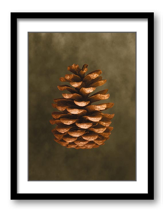  Pine Cone Pine Cone Print Beige Green Brown Nature Art Print Old Antique Vintage Printable Bathroom