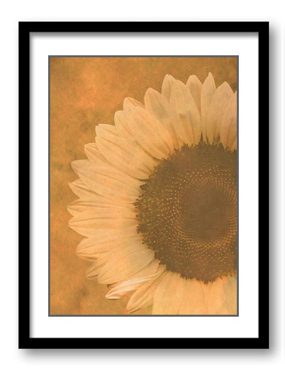 Large Sunflower Flower  Art Print Old Antique Vintage Printable Bathroom Bedroom Beige Yellow Brown