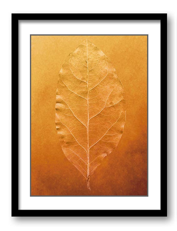 Golden Leaf Vein Print Beige Gold Nature Art Print Old Antique Vintage Printable Bathroom Bedroom