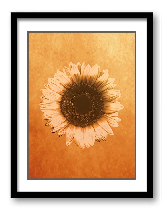 Sunflower Flower Art Print Old Antique Vintage Printable Bathroom Bedroom Beige Yellow Brown Gold