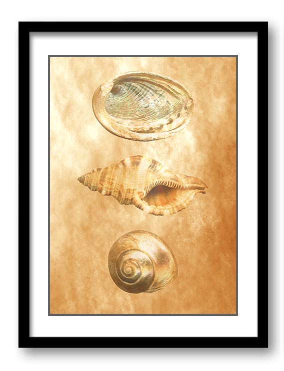 Sea Shells Ocean Beach Beige Sand Art Print Old Antique Vintage Printable Bathroom Bedroom