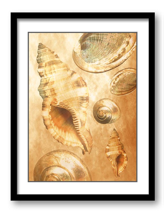 Sea Shells Ocean Cream Beige Sand Art Print Old Antique Vintage Botanical Printable Bathroom Bedroom