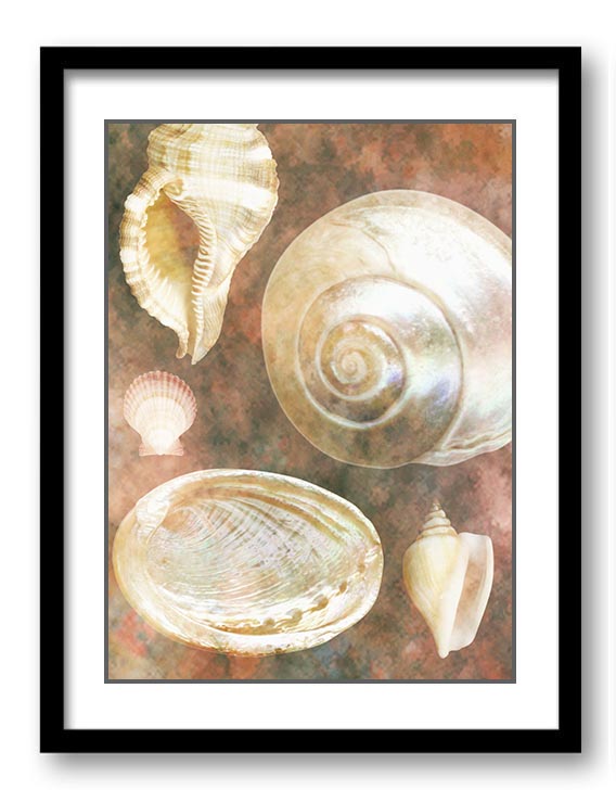 Sea Shells Ocean Grey Silver Beige Sand Art Print Old Antique Vintage Botanical Bathroom Bedroom