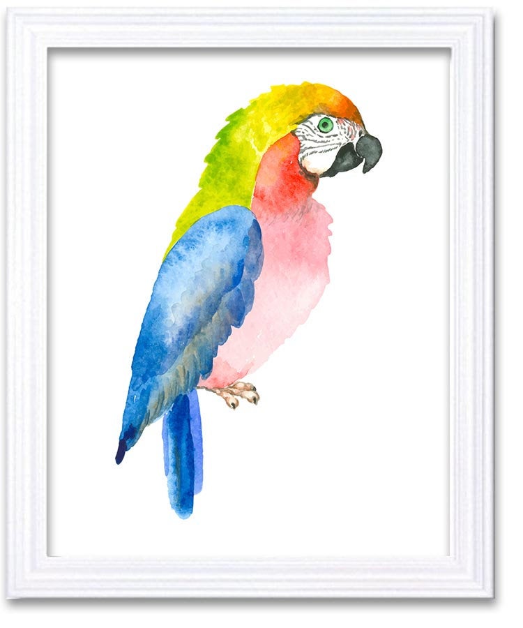 Parrot Watercolor Art Painting Blue Red Yellow Print Poster Bird Home Decor Wall Art Child Nursery A