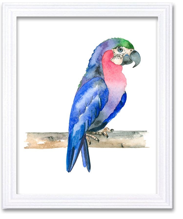 Parrot Watercolor Art Painting Blue Red Green Print Poster Bird Home Decor Wall Art Child Nursery Ar