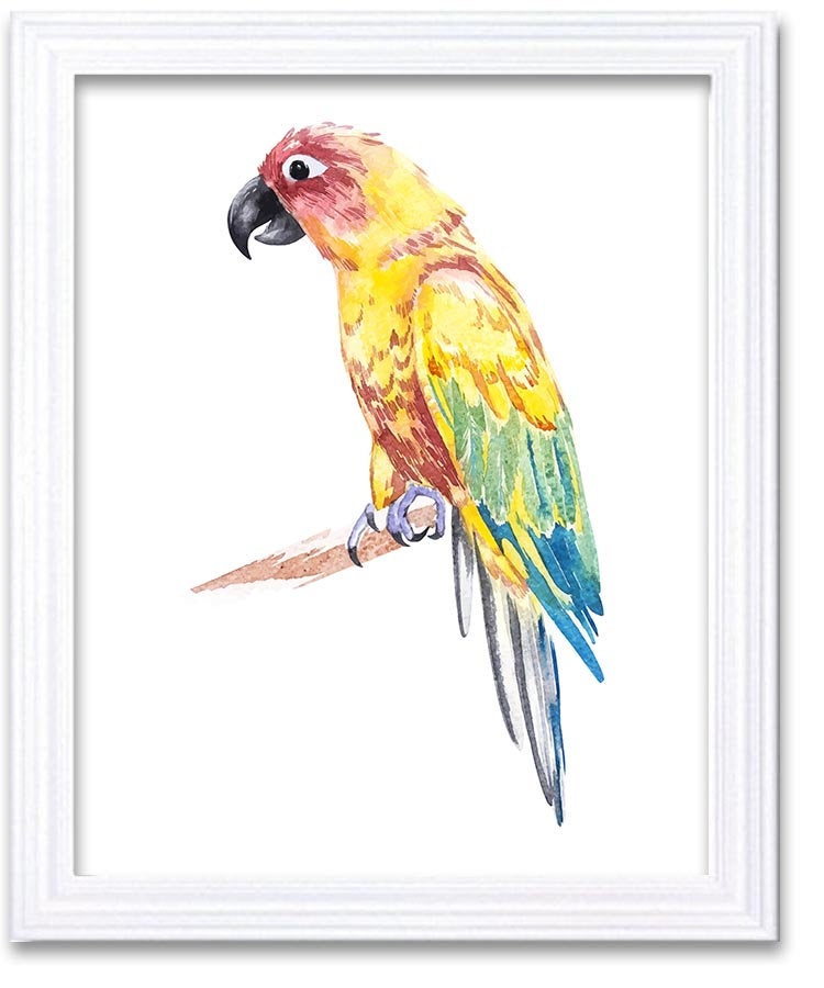 Yellow Parrot Watercolor Art Painting Blue Red Green Print Poster Bird Home Decor Wall Art Child Nur