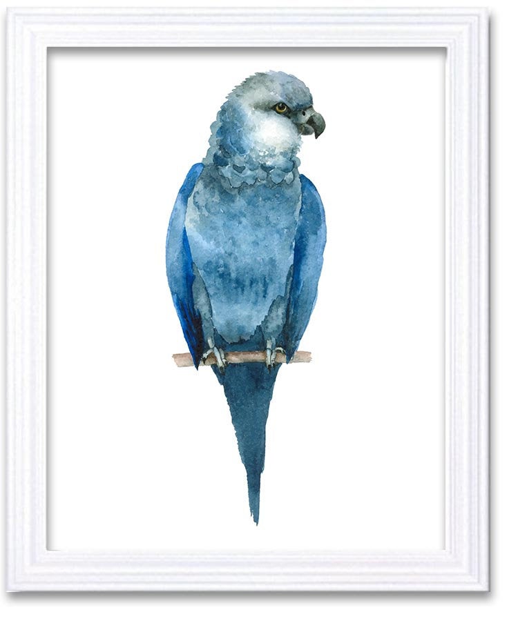 Blue Parrot Watercolor Art Painting Print Poster Bird Home Decor Wall Art Child Nursery Art