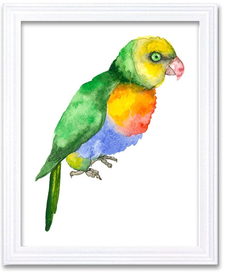 Parrot Watercolor Art Painting Green Blue Red Yellow Print Poster Bird Home Decor Wall Art Child Nur