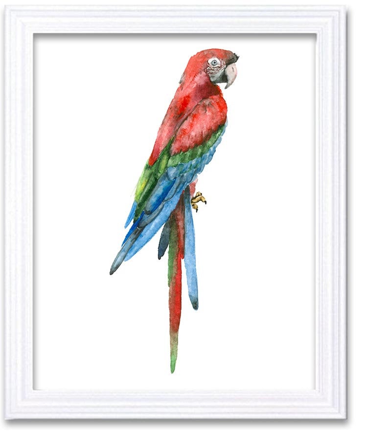 Parrot Watercolor Art Painting Green Blue Red Print Poster Bird Home Decor Wall Art Child Nursery Ar