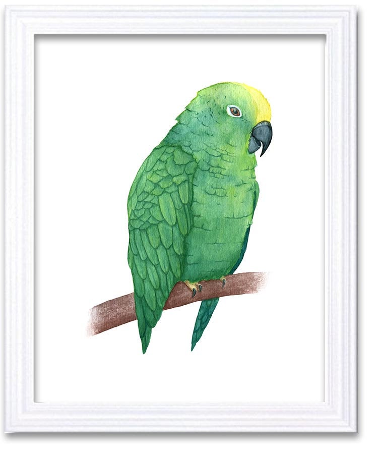 Green Parrot Watercolor Art Painting Yellow Print Poster Bird Home Decor Wall Art Child Nursery Art