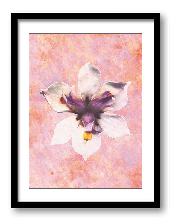 White Purple Orchid Flower Bathroom Art Print Pink Coral Beige Elegant Bathroom Wall Decor Flower Pr