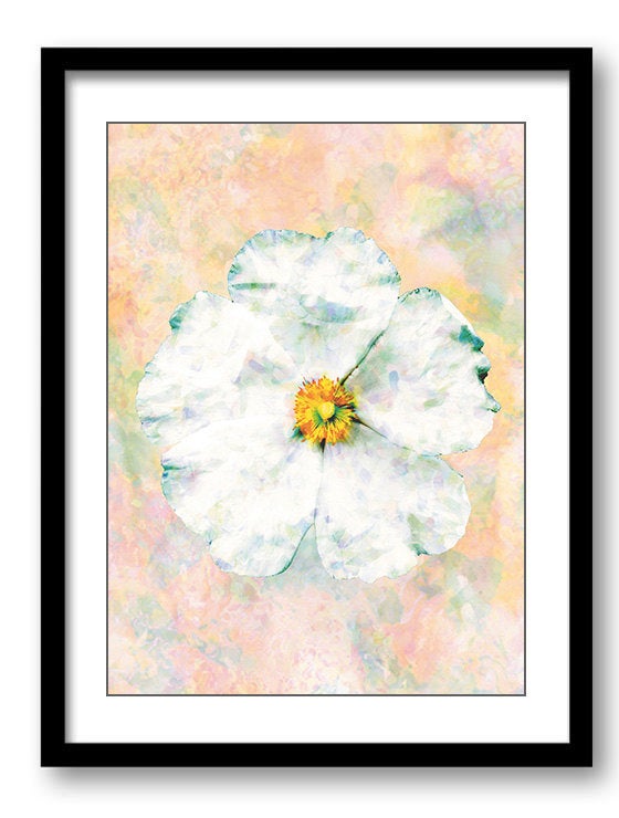 White Flower Pink Coral Peach Bathroom Art Print Modern Elegant Watercolor Bathroom Wall Decor Flowe