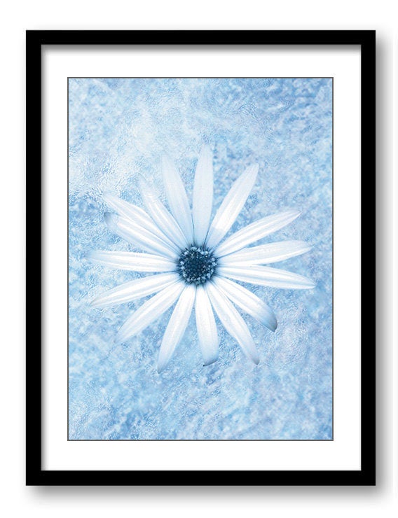 White Daisy Flower Blue Bathroom Art Print Modern Elegant Watercolor Bathroom Wall Decor Flower Pain