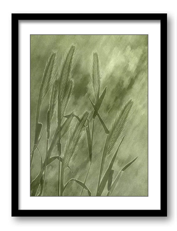 Yellow Green Wheat Leaf Bathroom Art Print Abstract Nature Landscape Modern Watercolor Bathroom Wall